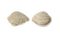 F 12090 02
<br/>
Verwijderen!
<br/>
<em></em>